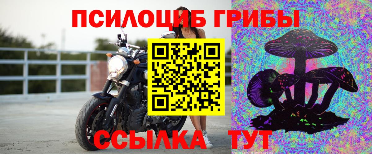 Псилоцибиновые грибы прущие грибы Губаха